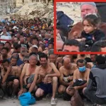 “Justice for Peanut!”: Social Media Erupts Over Euthanasia of Beloved Pet Squirrel