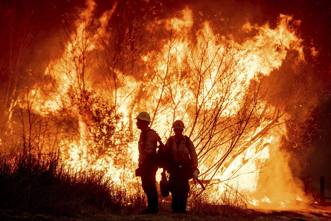 Ultimate Guide: Surviving and Understanding LA Wildfires