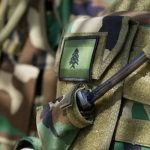 Egg Prices Set to Rise by 20% in 2025 Amid Avian Flu Crisis