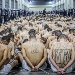 Unions file lawsuit to halt federal worker buyout plan as 20,000 prepare to resign