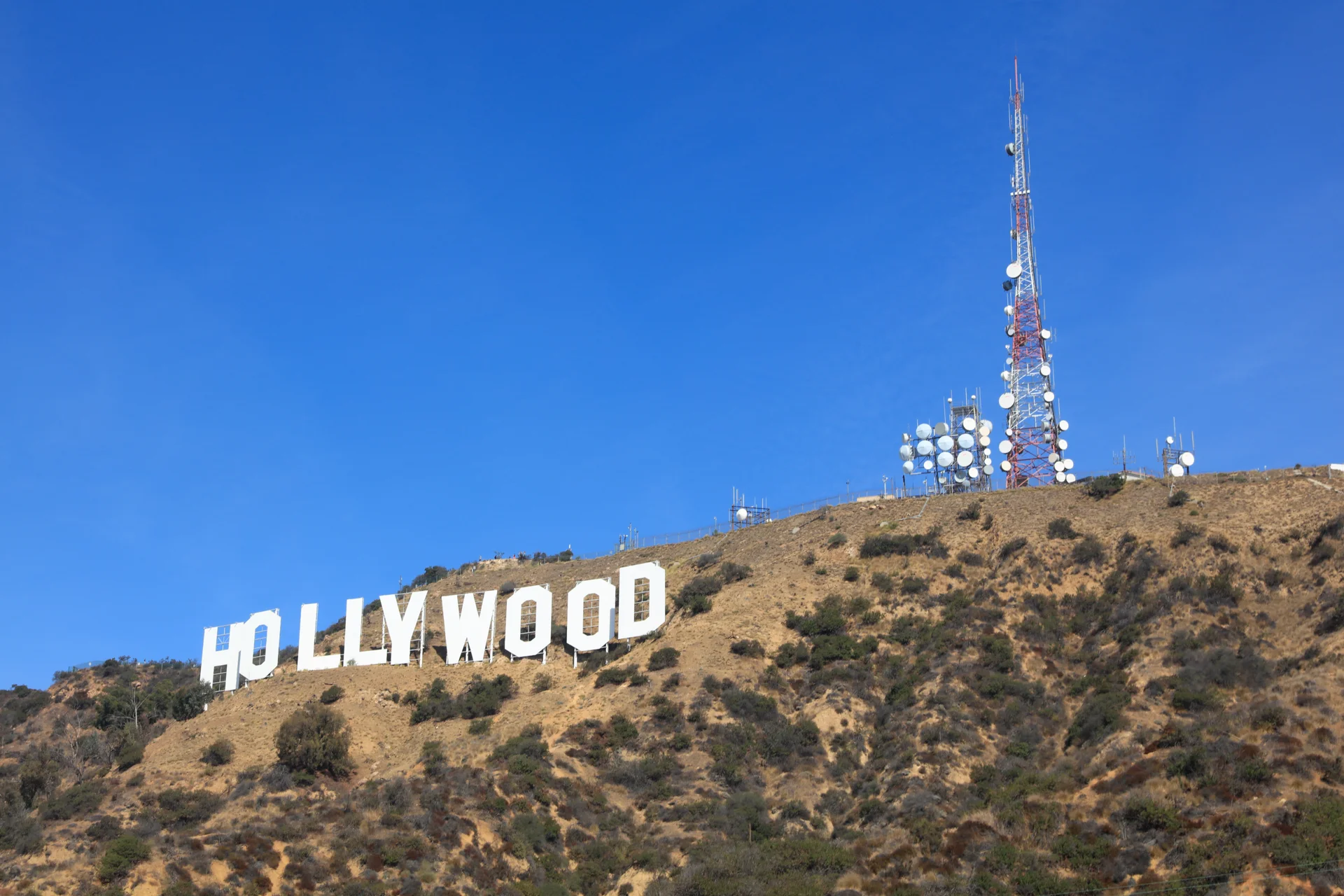 What’s Behind The Hollywood Dream