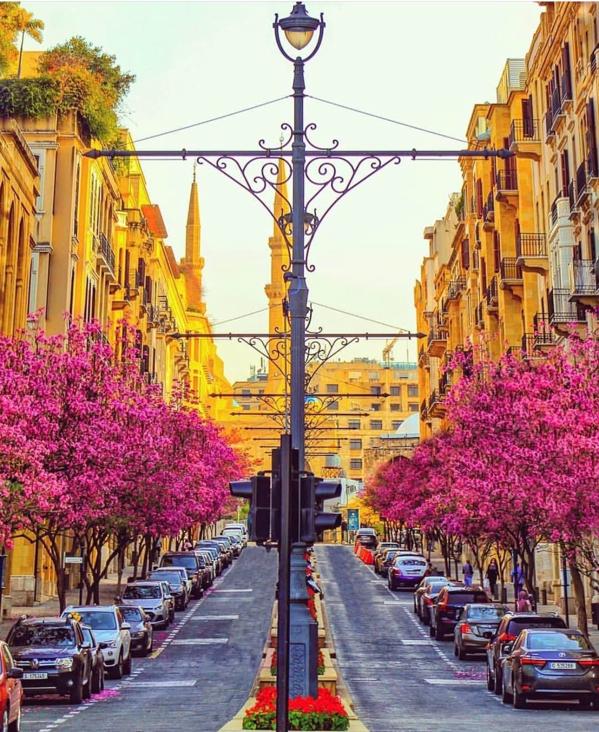 A City of Resilience And Beauty